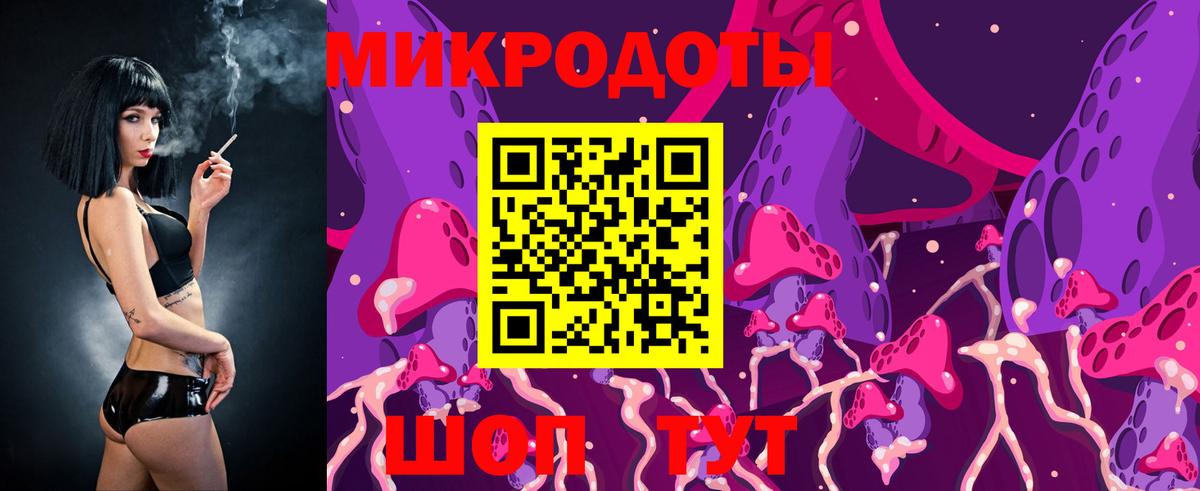 Галлюциногенные грибы Psilocybine cubensis Тобольск